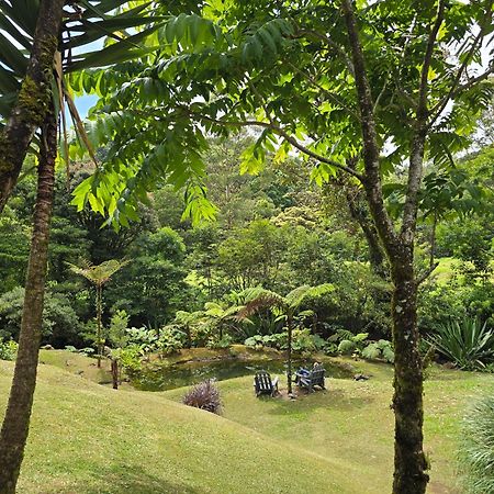 Monteverde Casa Mia, Near Main Attractions And Town! Eksteriør bilde