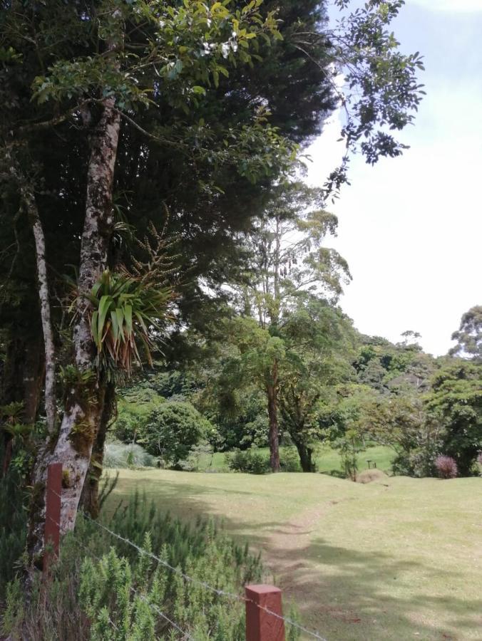 Monteverde Casa Mia, Near Main Attractions And Town! Eksteriør bilde
