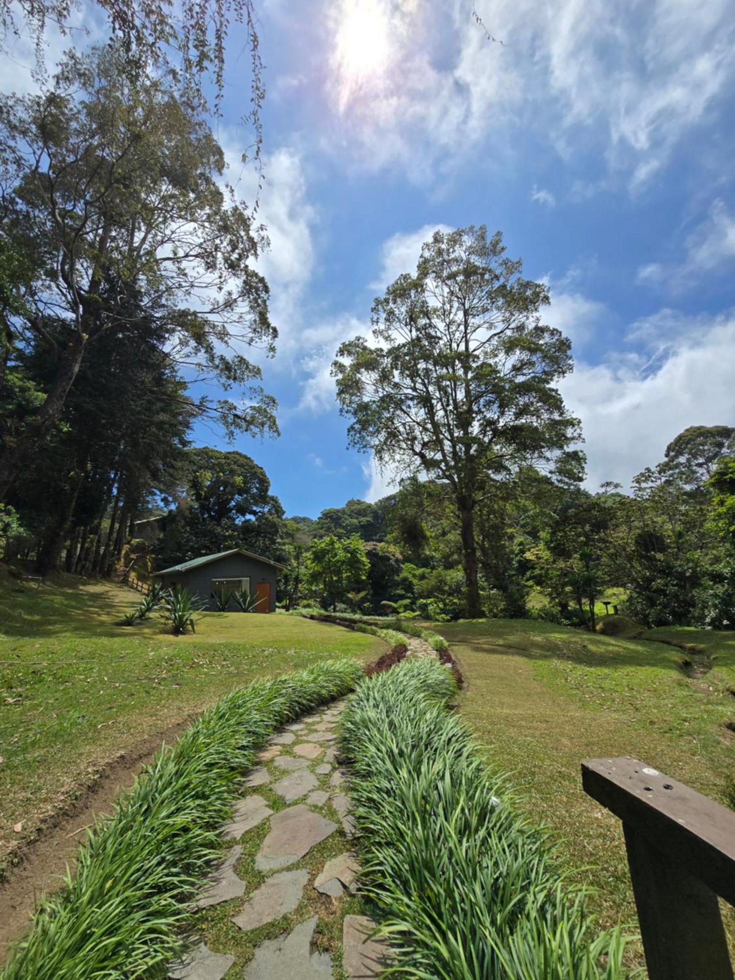 Monteverde Casa Mia, Near Main Attractions And Town! Eksteriør bilde