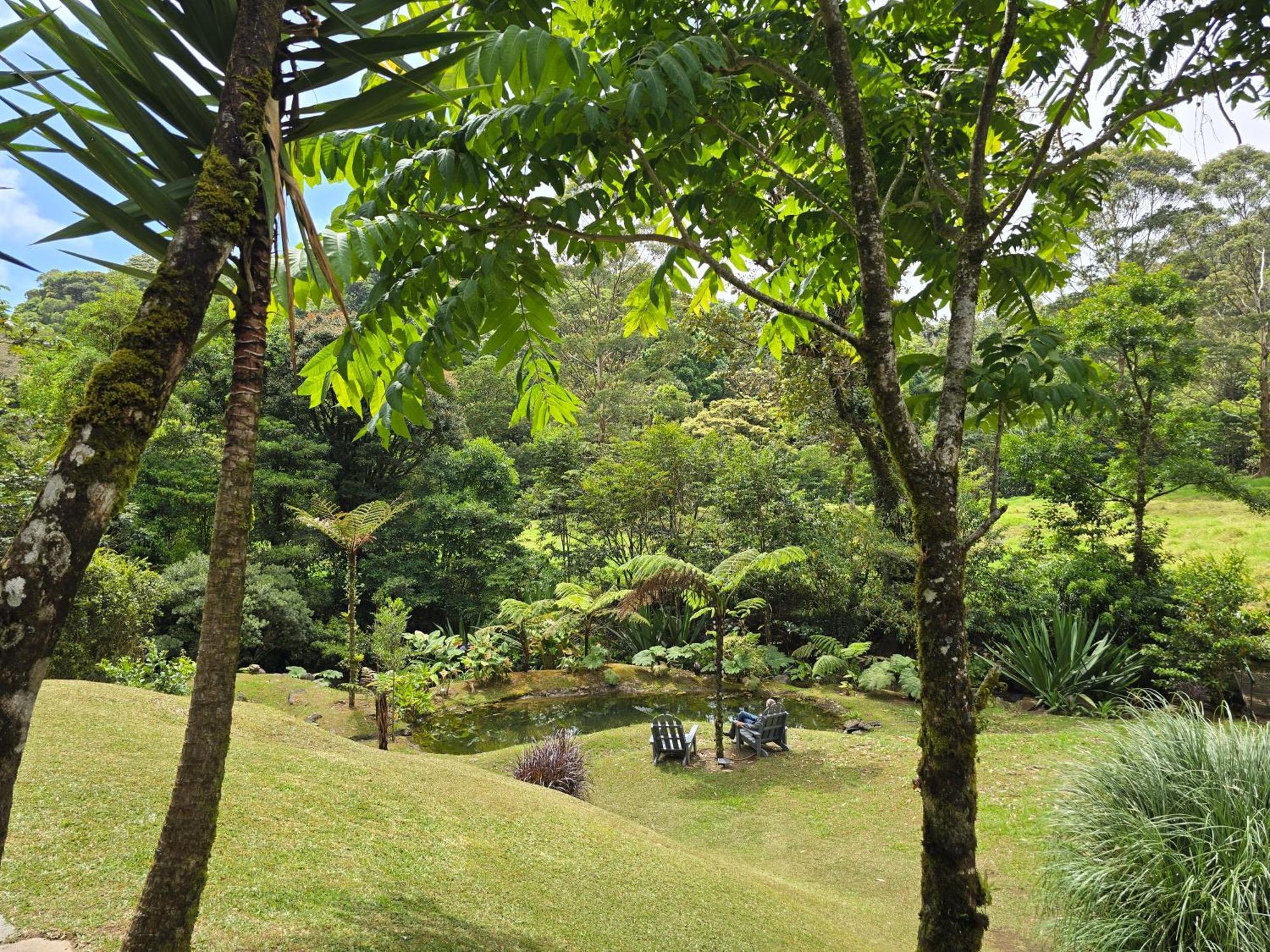 Monteverde Casa Mia, Near Main Attractions And Town! Eksteriør bilde